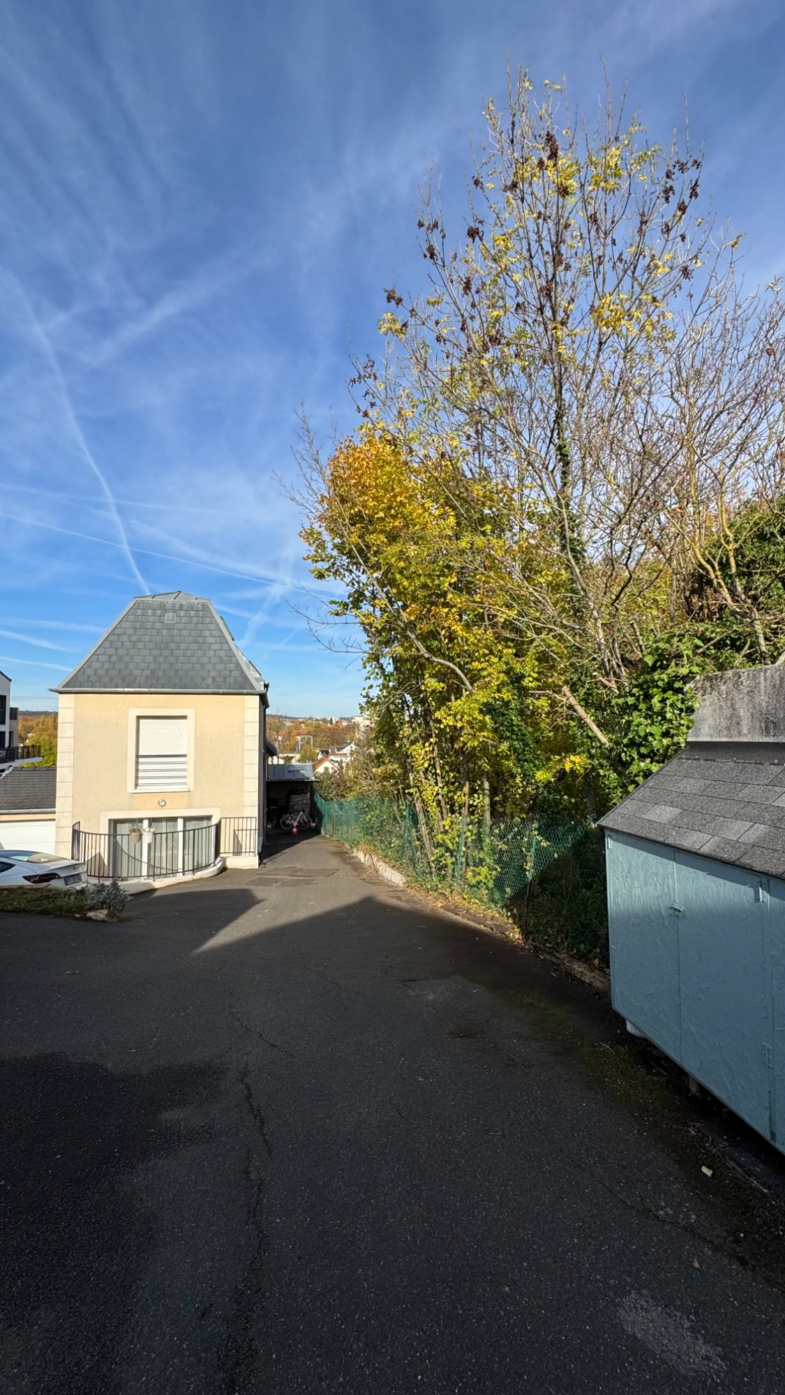 Après - Arbres taillés