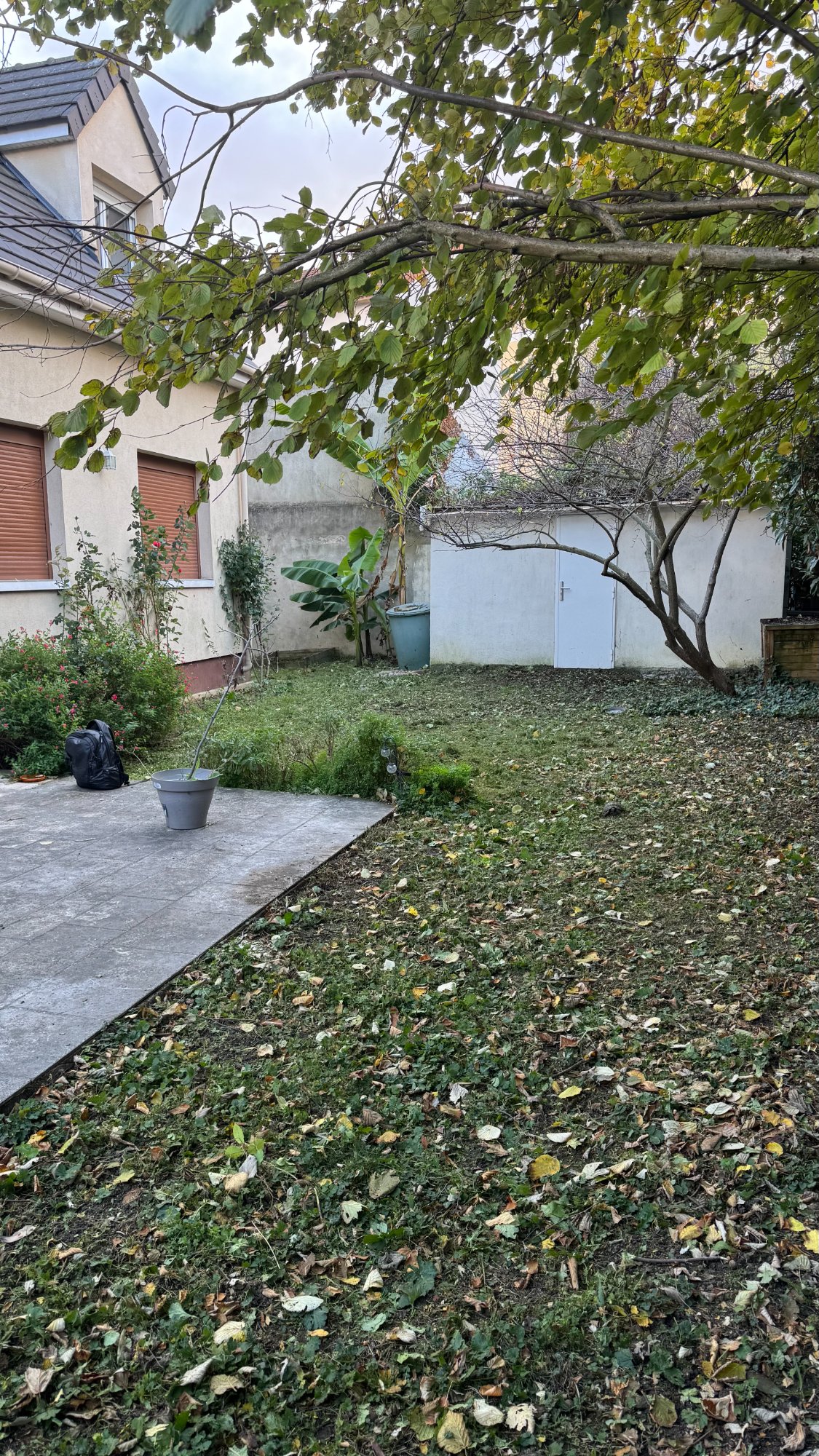 Après - Jardin arrière