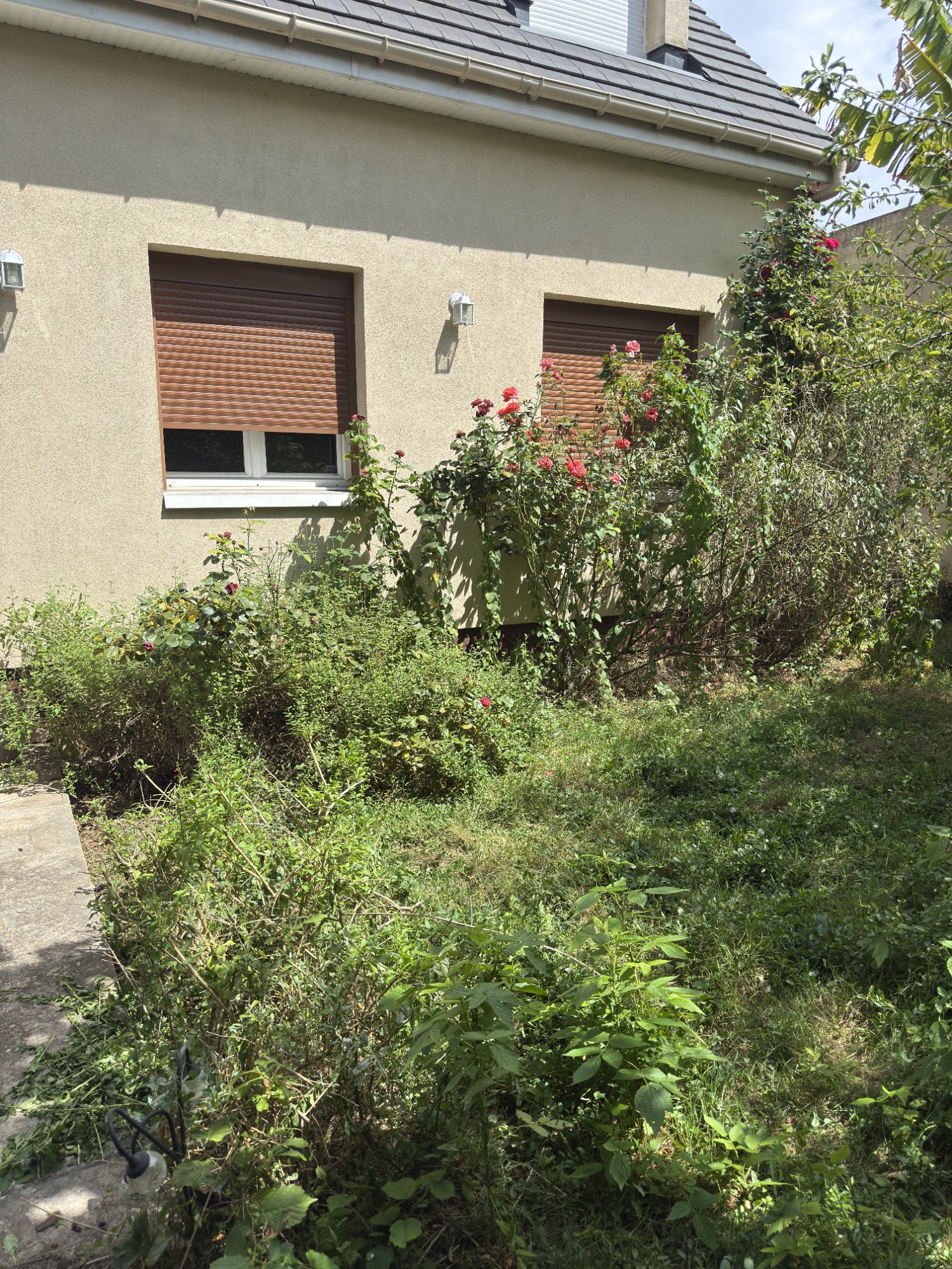 Avant - Jardin arrière