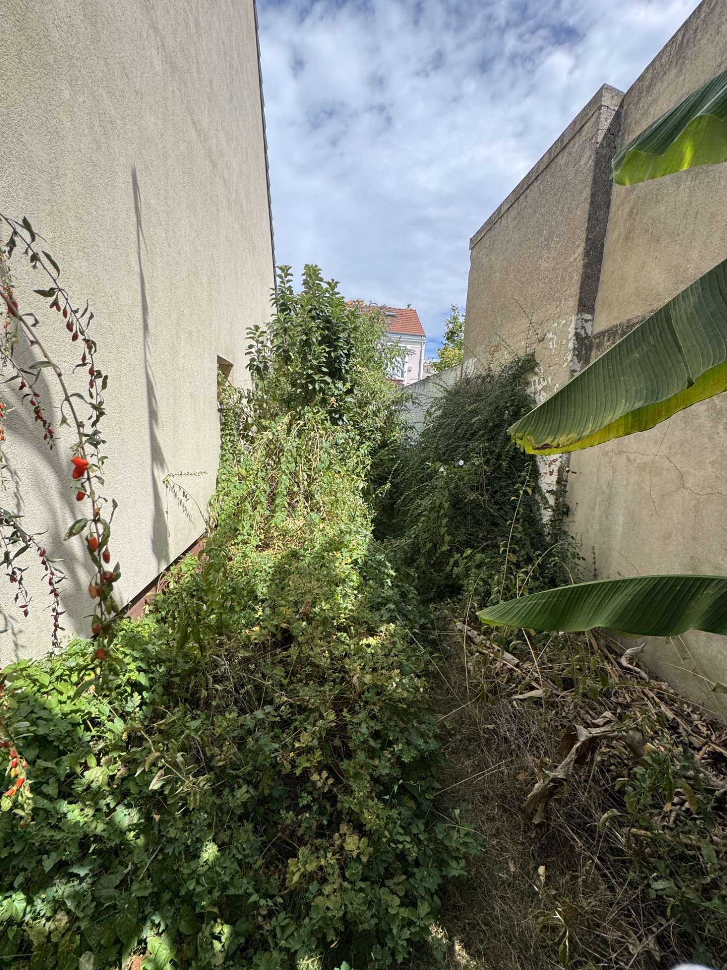 Avant - Côté jardin